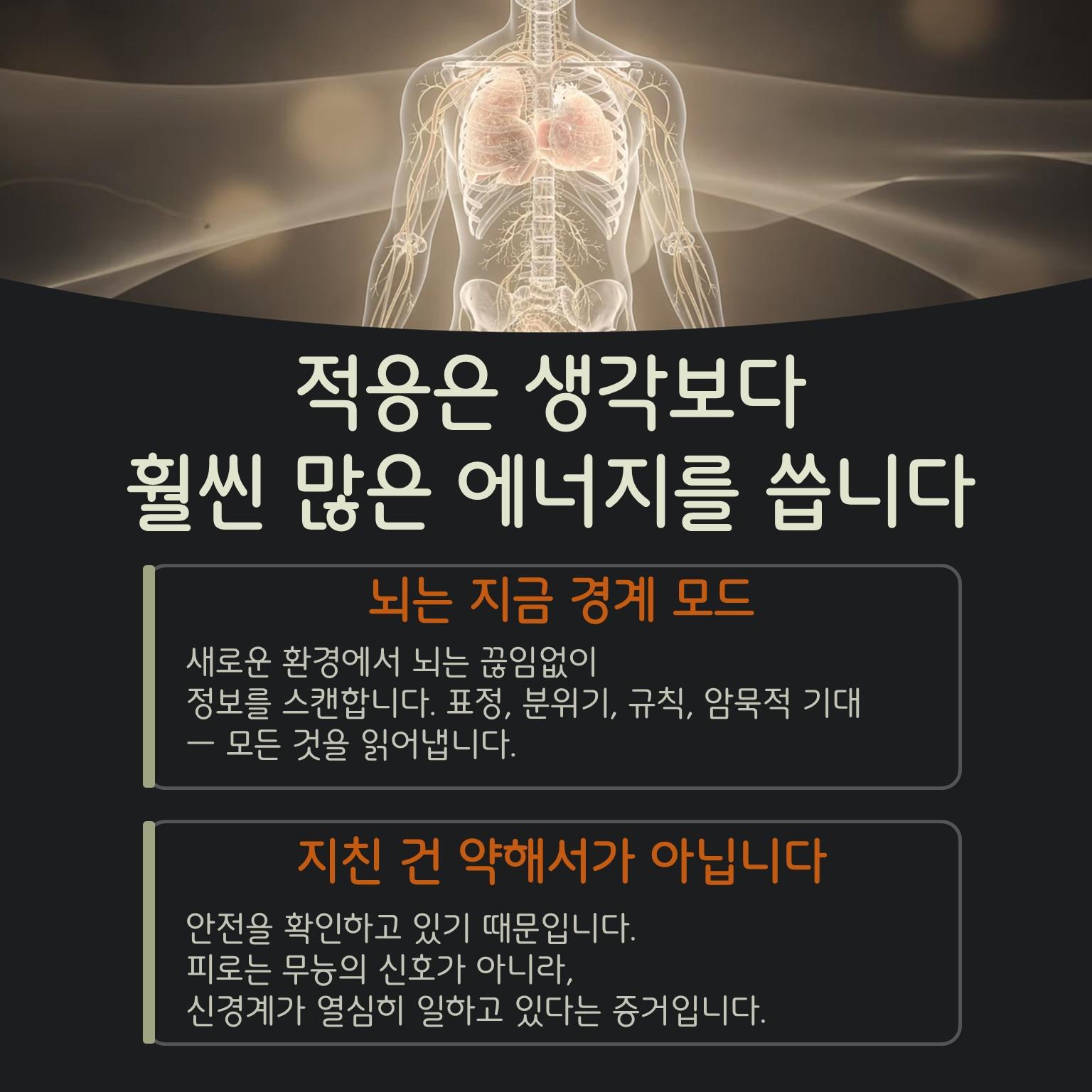 슬라이드2.JPG 이미지