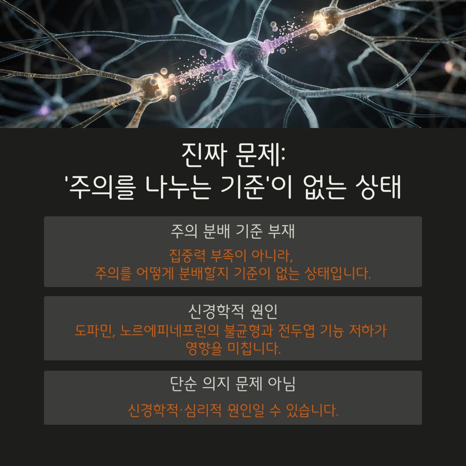 슬라이드4.JPG 이미지