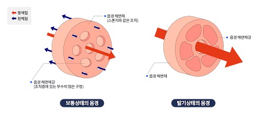 unnamed.png 이미지