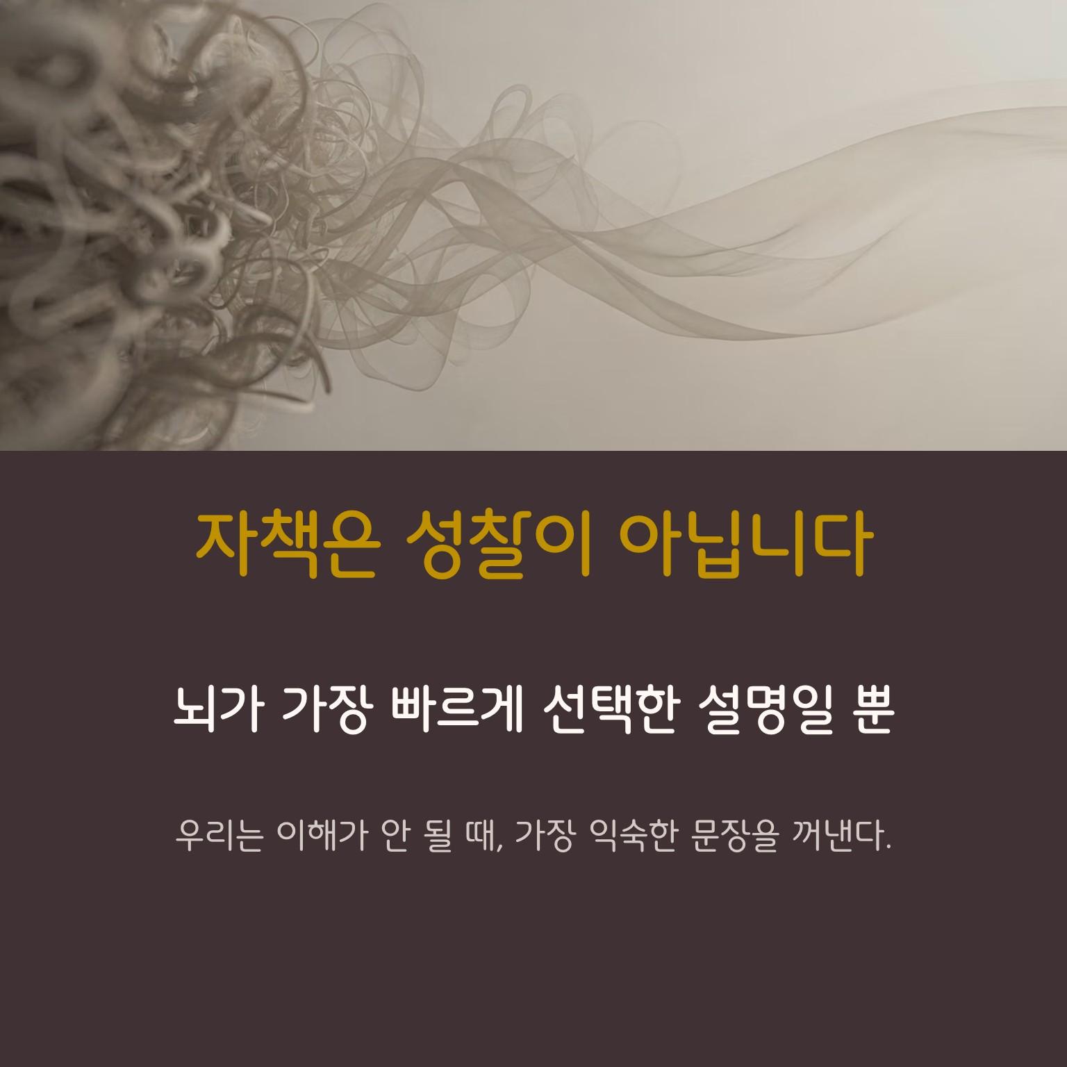 슬라이드2.JPG 이미지