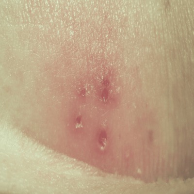 스크린샷 2026-04-04 오후 2.26.33.png 이미지