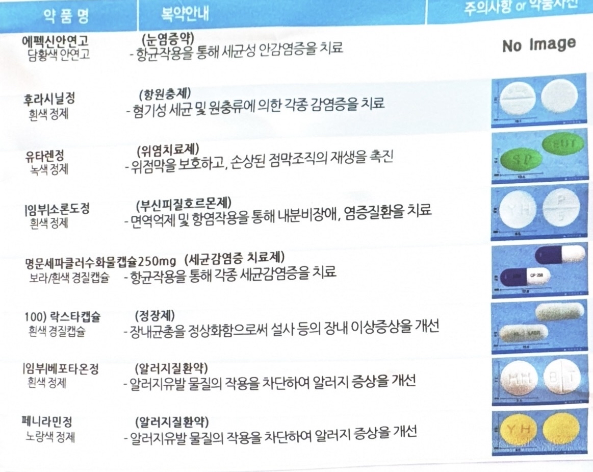비염약 갑상선약 처방받은 약 좀 봐주세요 ㅣ 궁금할 땐, 아하!