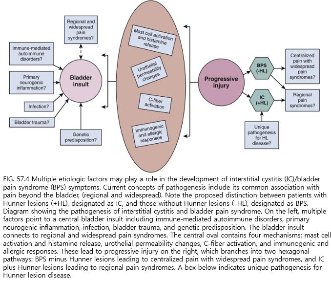 CPPS 2.PNG 이미지