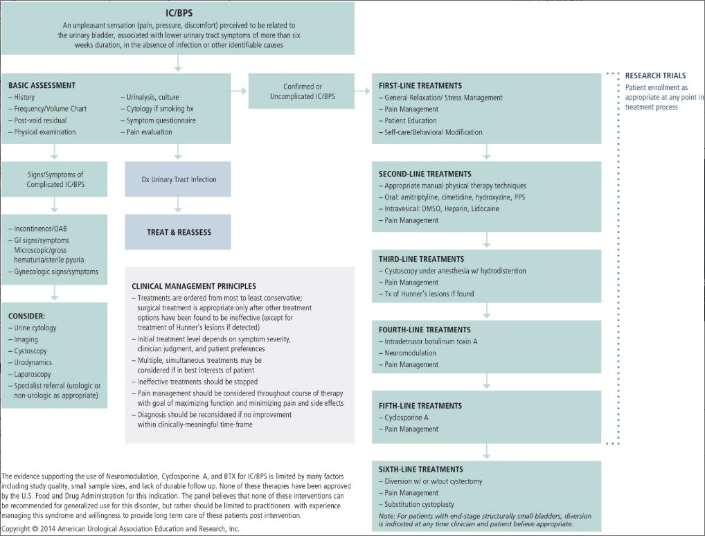 CPPS 4.PNG 이미지