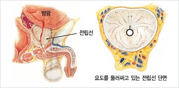sub03_01_img03.jpg 이미지