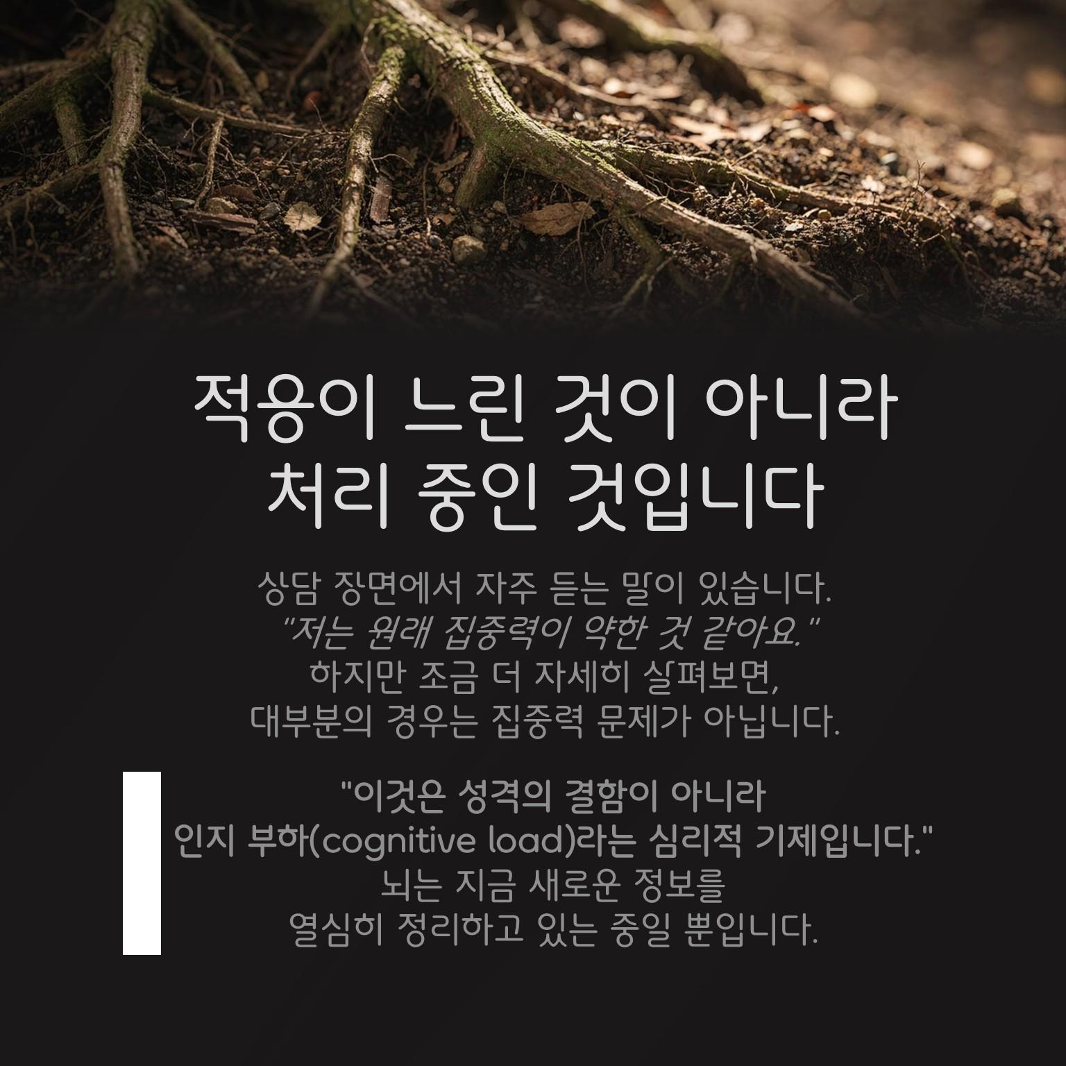 슬라이드3.JPG 이미지