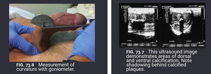 페이로니 3.PNG 이미지