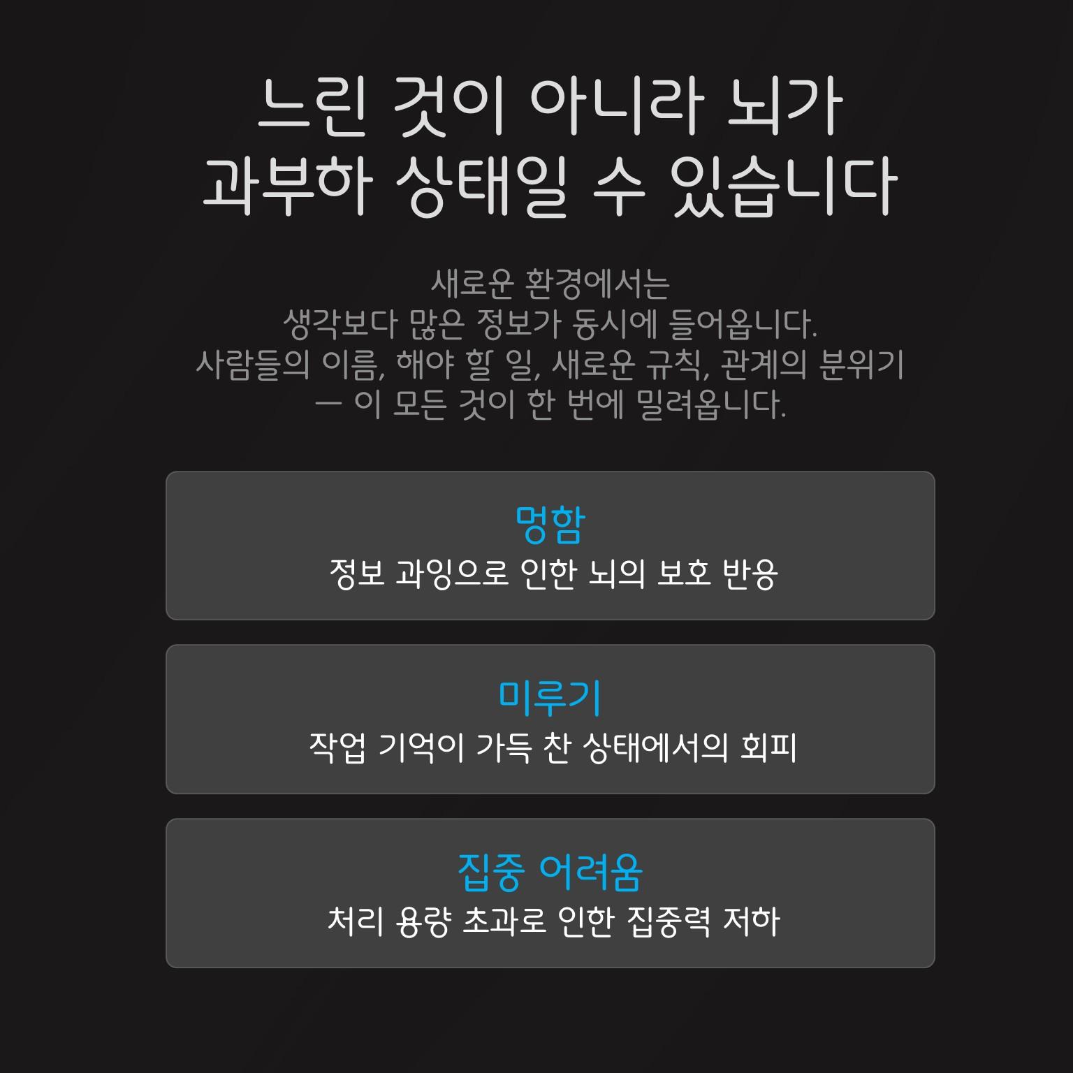 슬라이드2.JPG 이미지