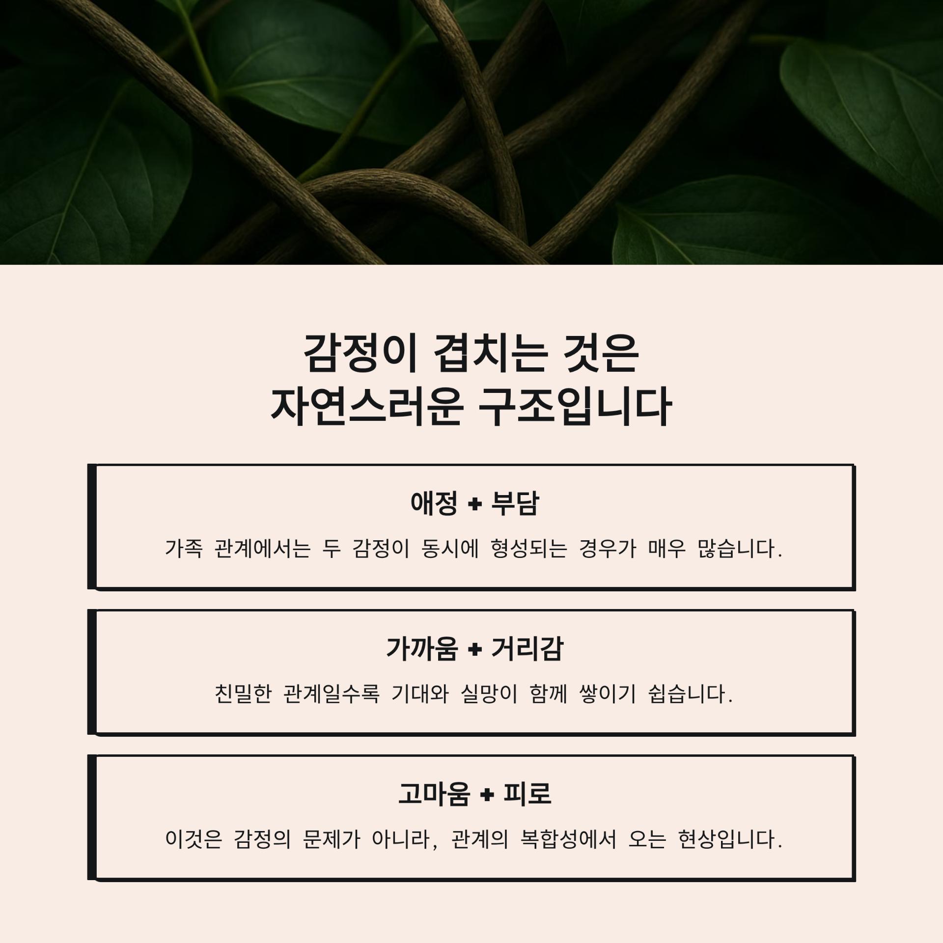 3_.png 이미지