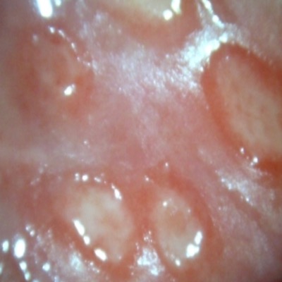 스크린샷 2026-04-04 오후 2.26.24.png 이미지