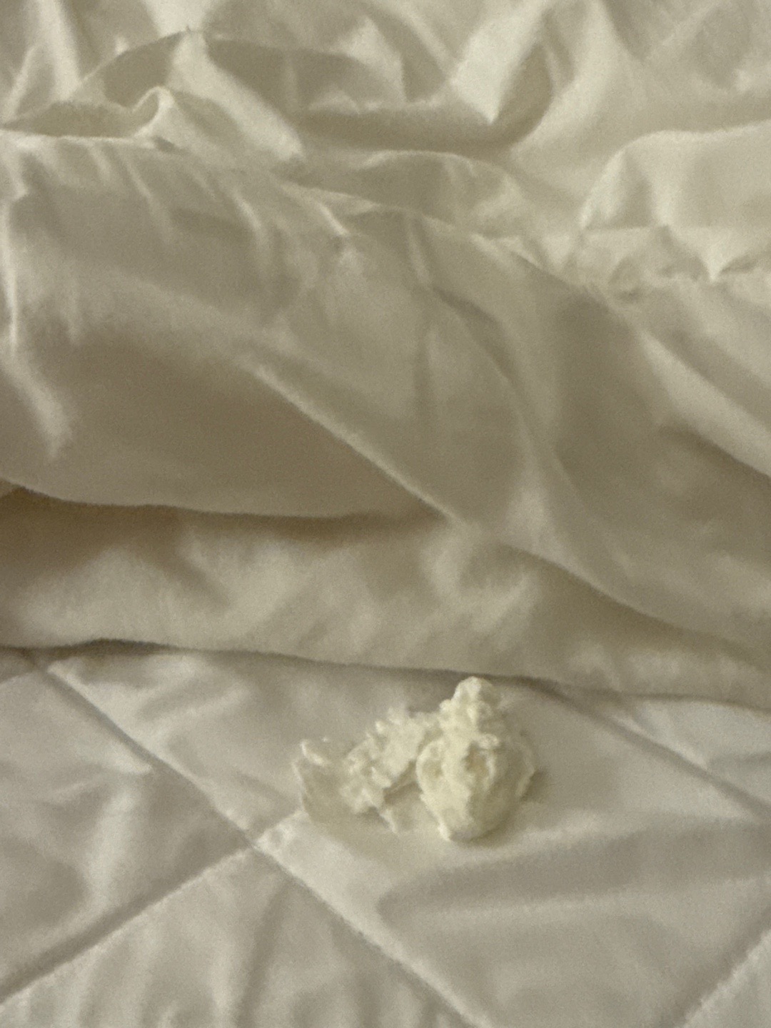 코인세탁소 이용후 이불을 펼쳤는데 이런게 나왔어요.. 대체 뭔가요? ㅣ 궁금할 땐, 아하!