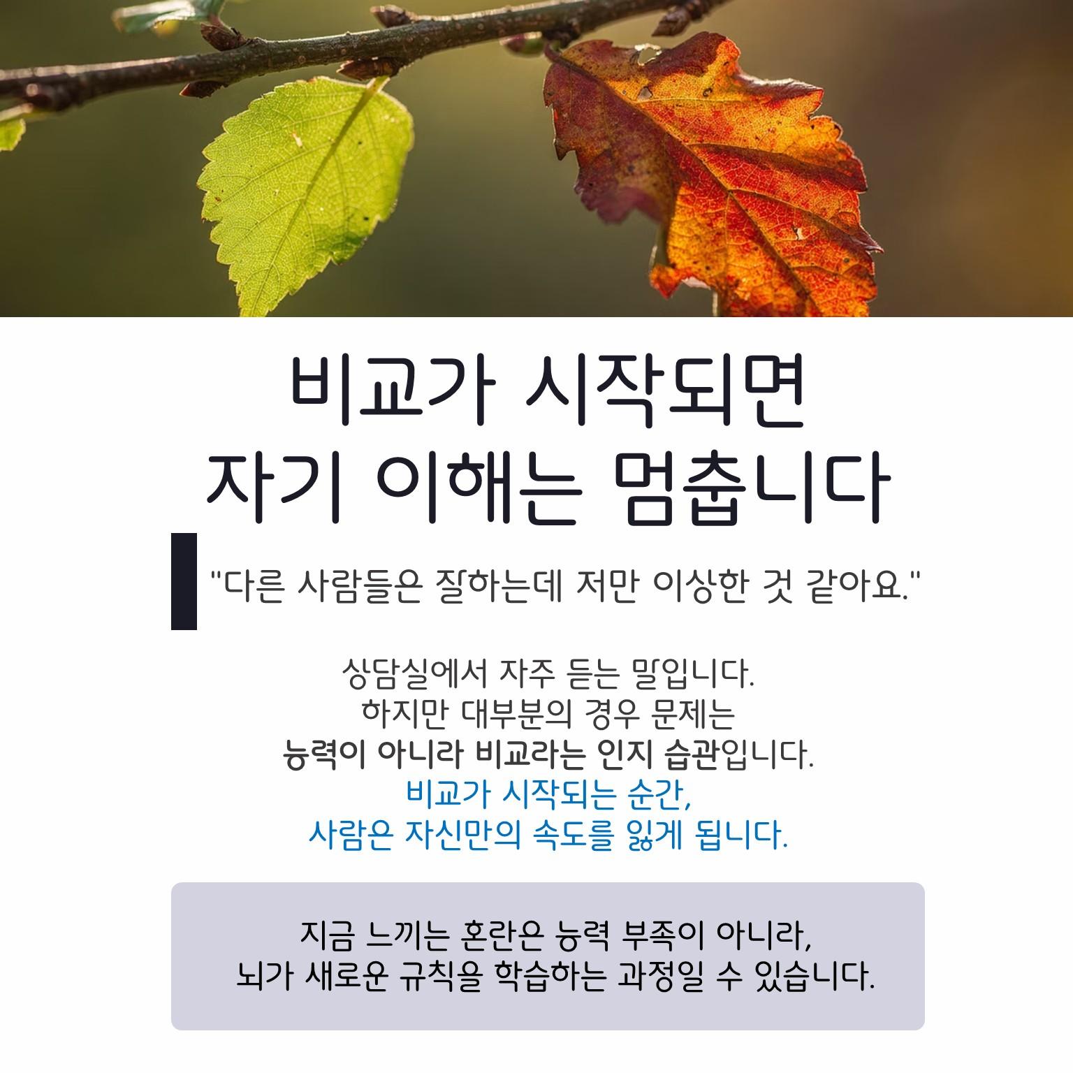 슬라이드3.JPG 이미지