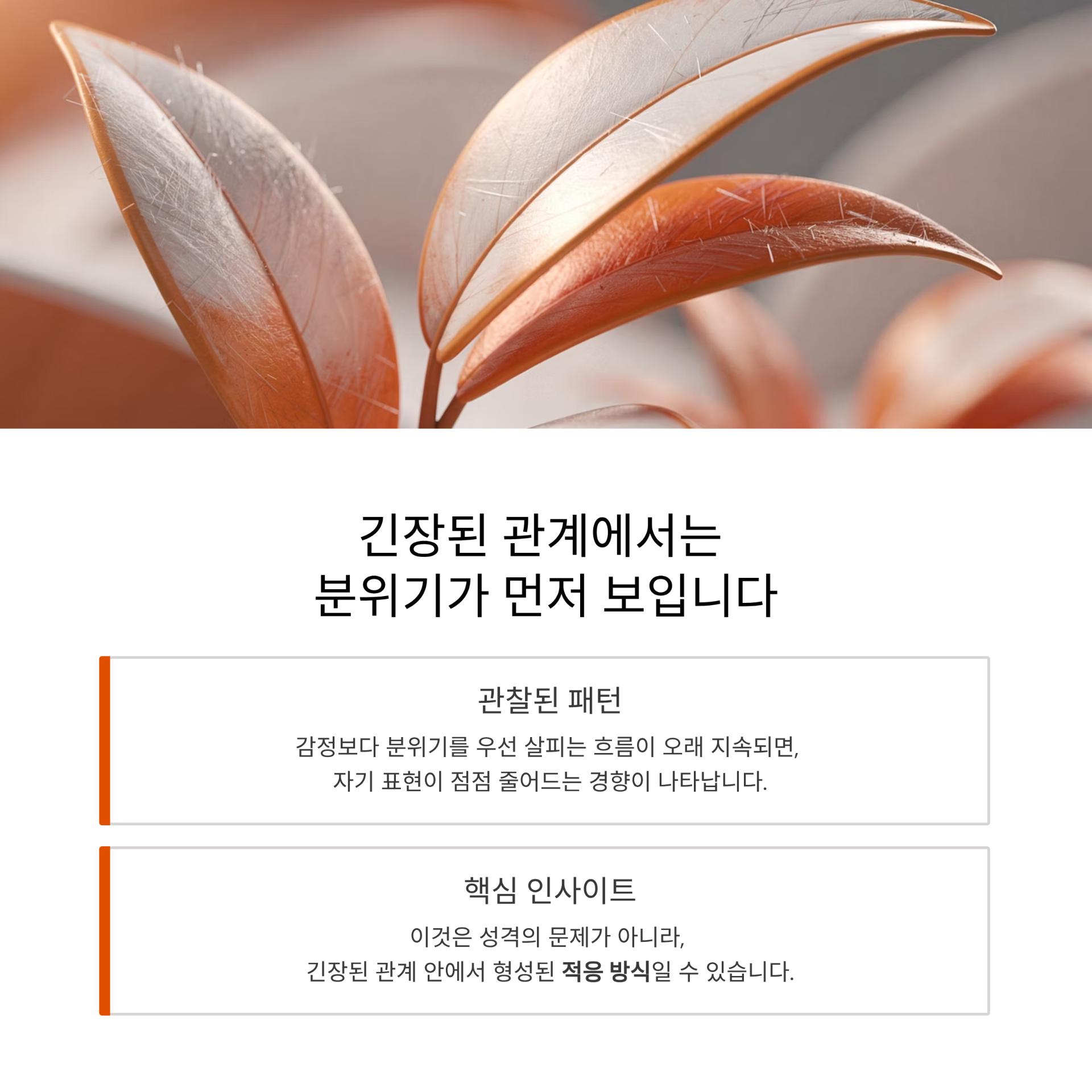 3_.png 이미지