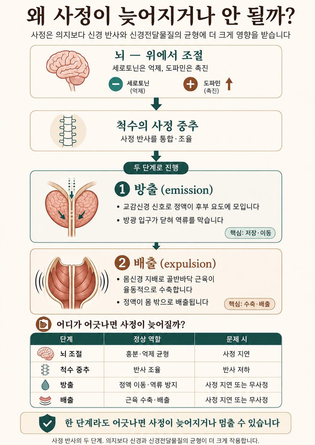 사정메카.png 이미지