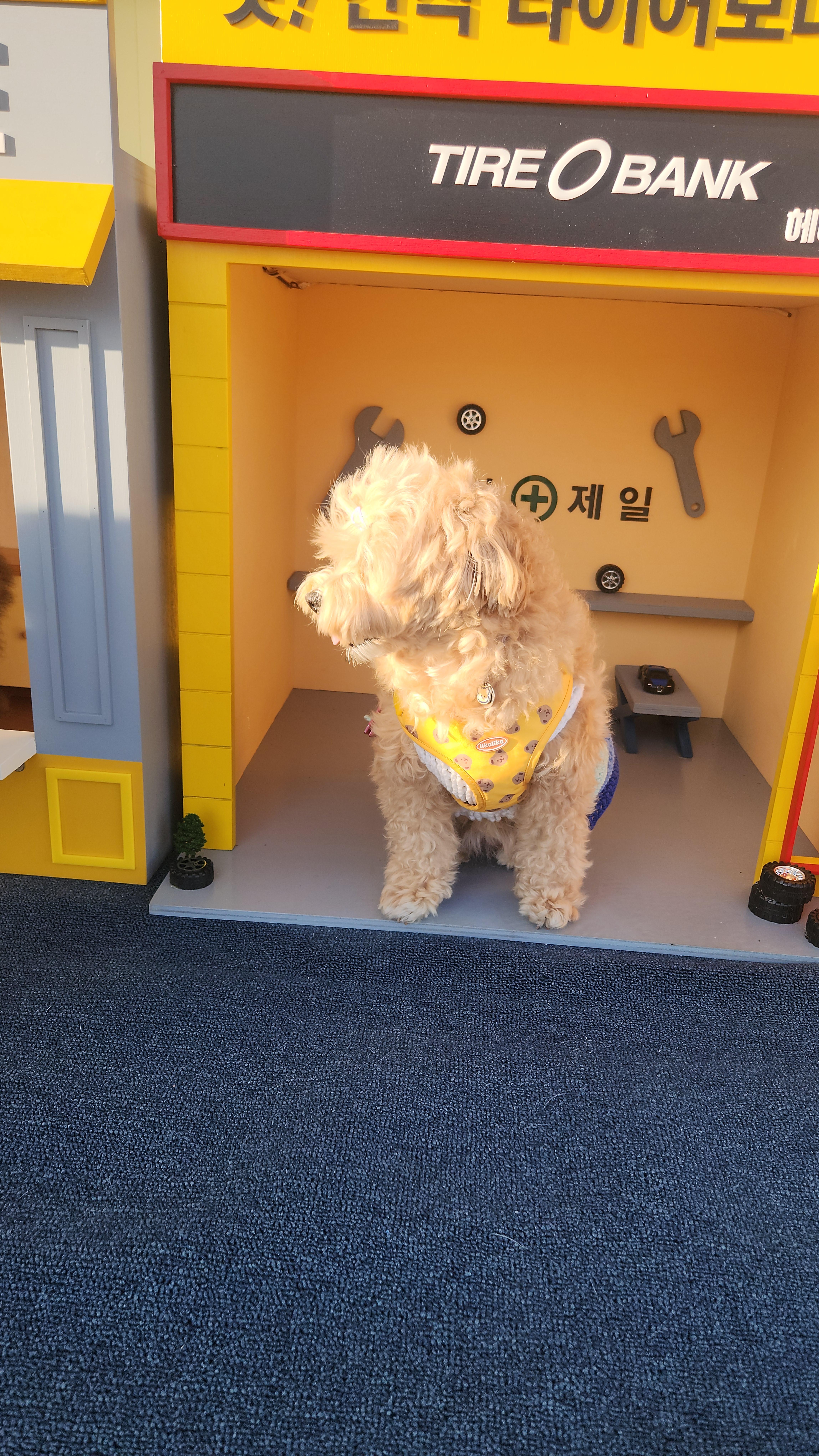 달래아빠입니다