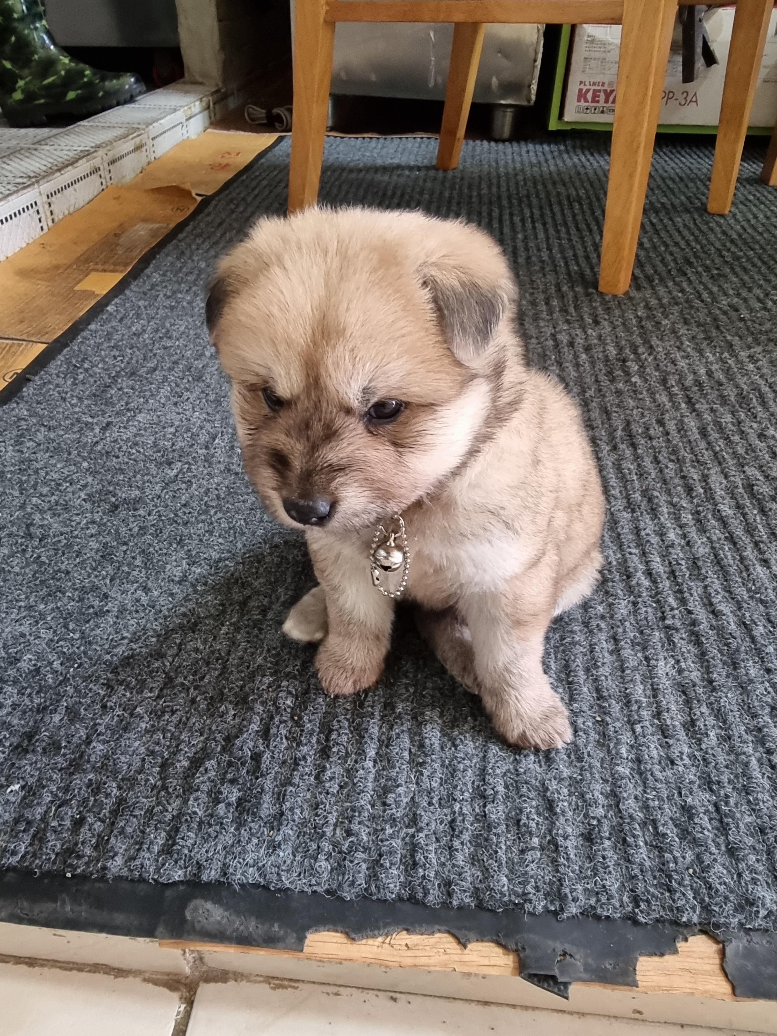 백수기간이 너무 길어서 우울하고 죽고싶어지네요.. ㅣ 궁금할 땐, 아하!