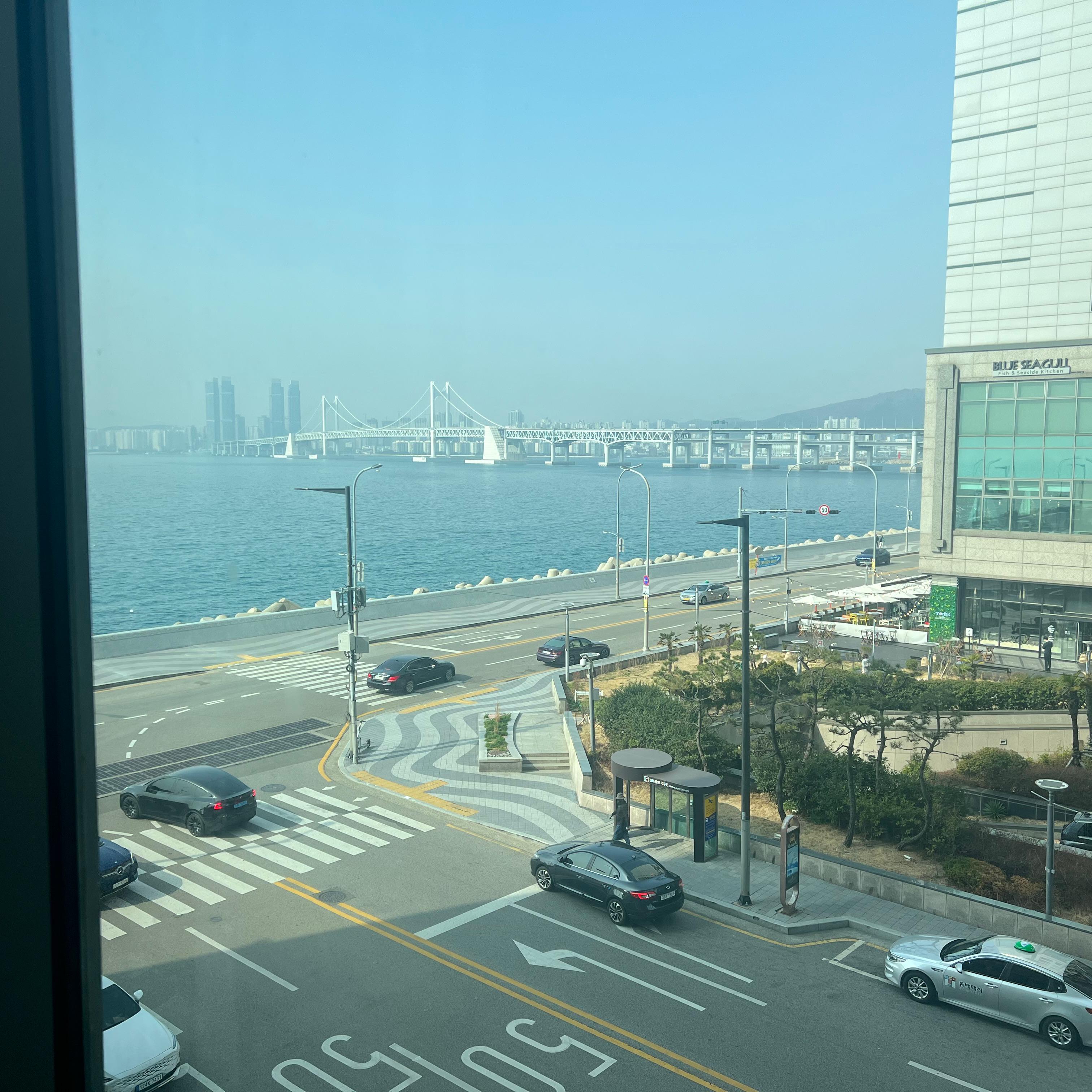 얄쌍한테리어168