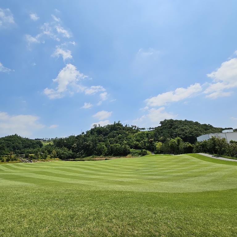 슬거운꾀꼬리60