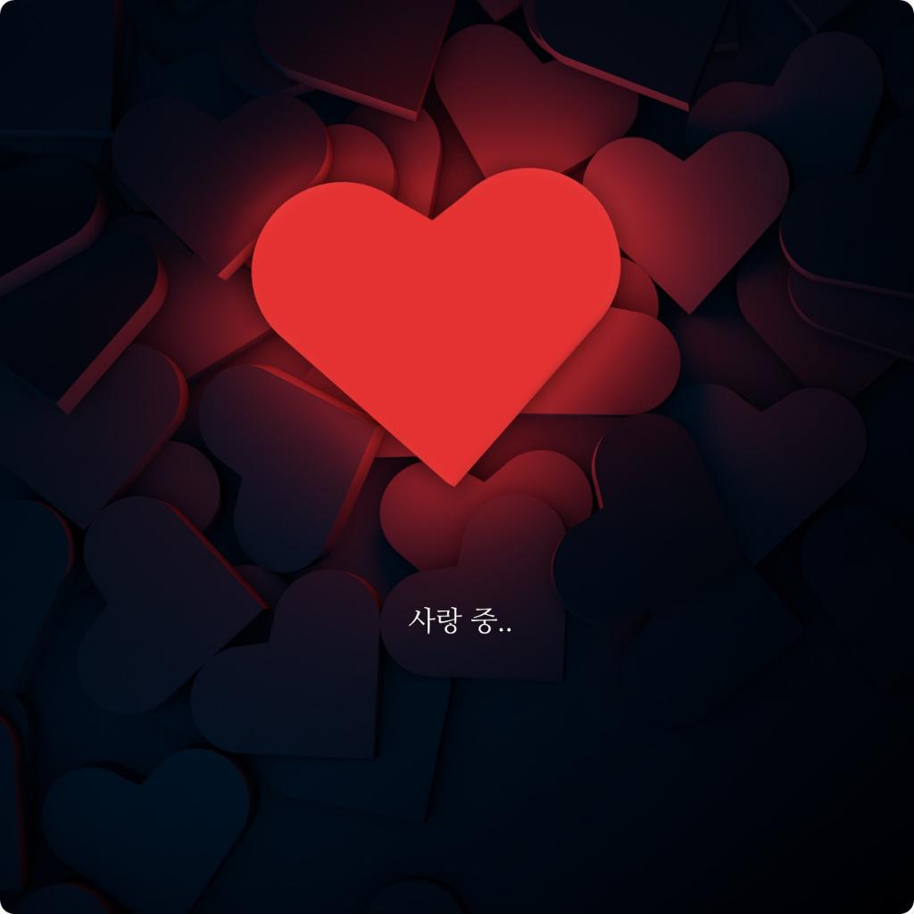 궁금한게 많은 토끼