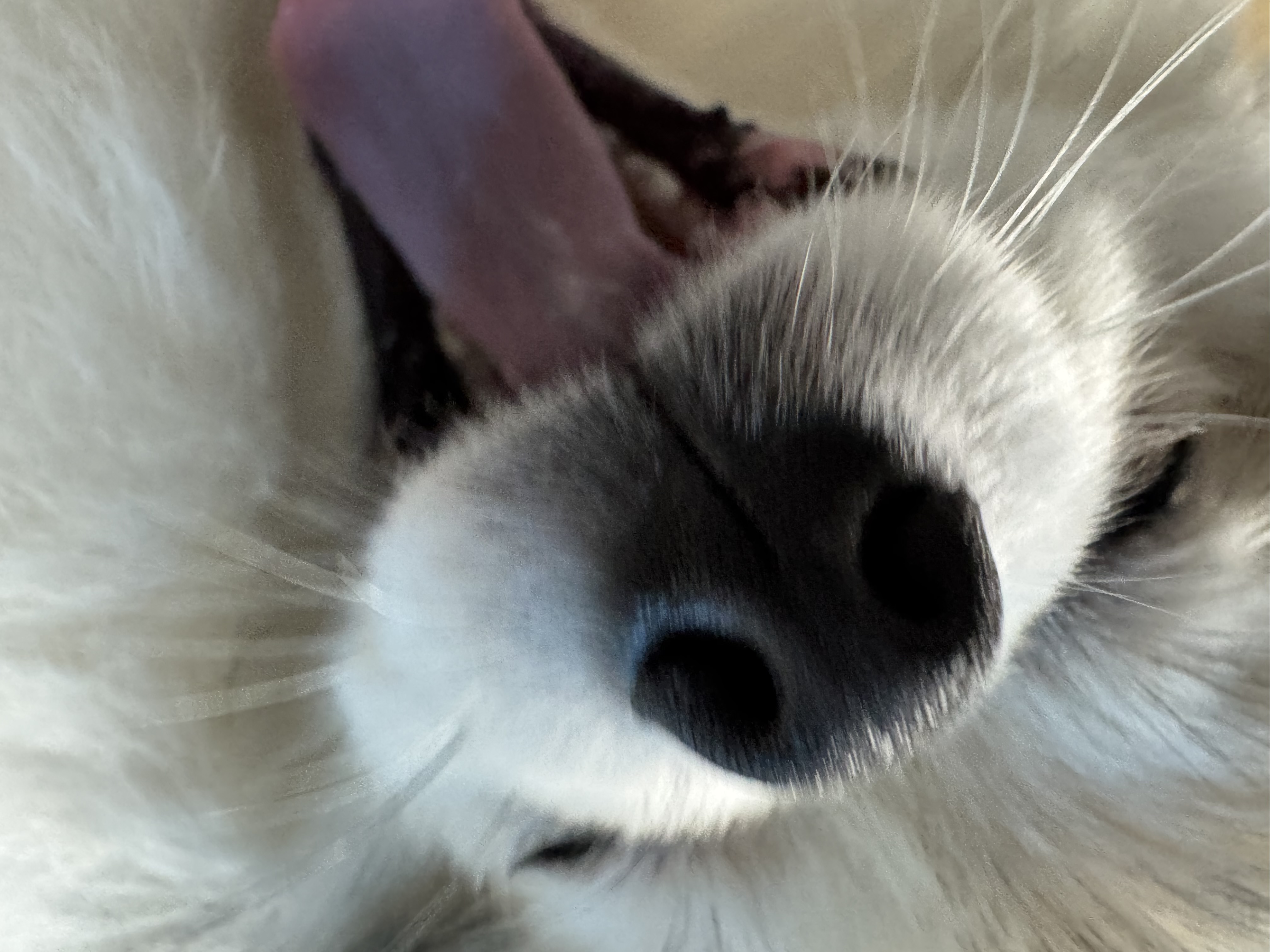 김도윤입니다만