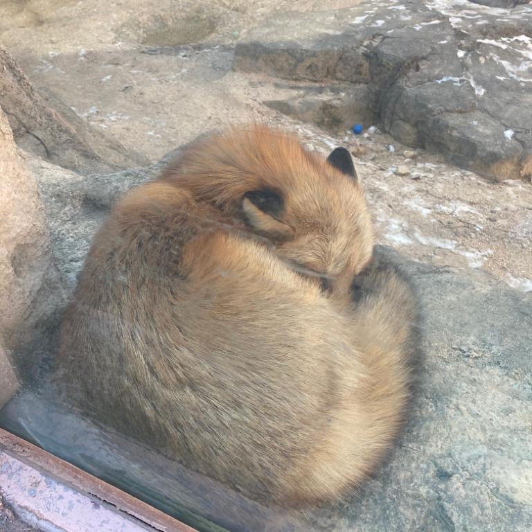 다부진바다매73