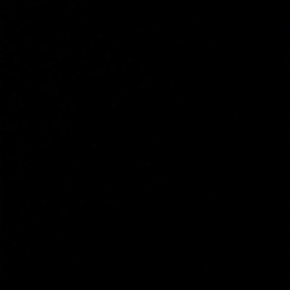 사막위의오아시스