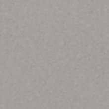 견실한시라소니109