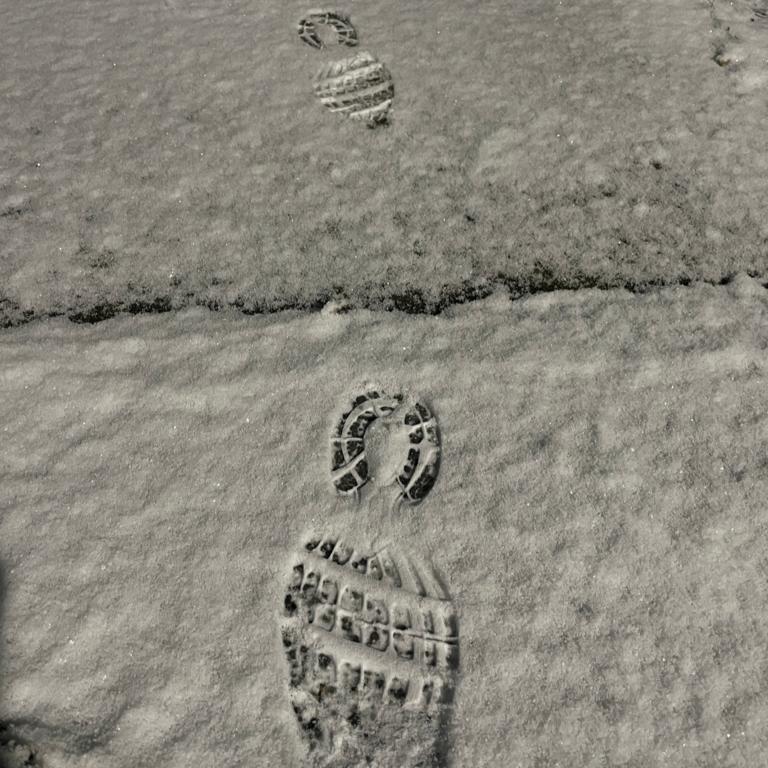 팔팔한도롱이274