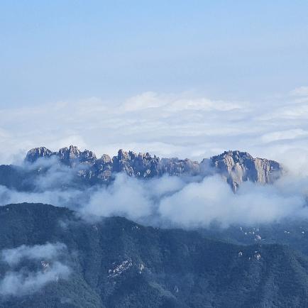 산에가고싶은 멍뭉이