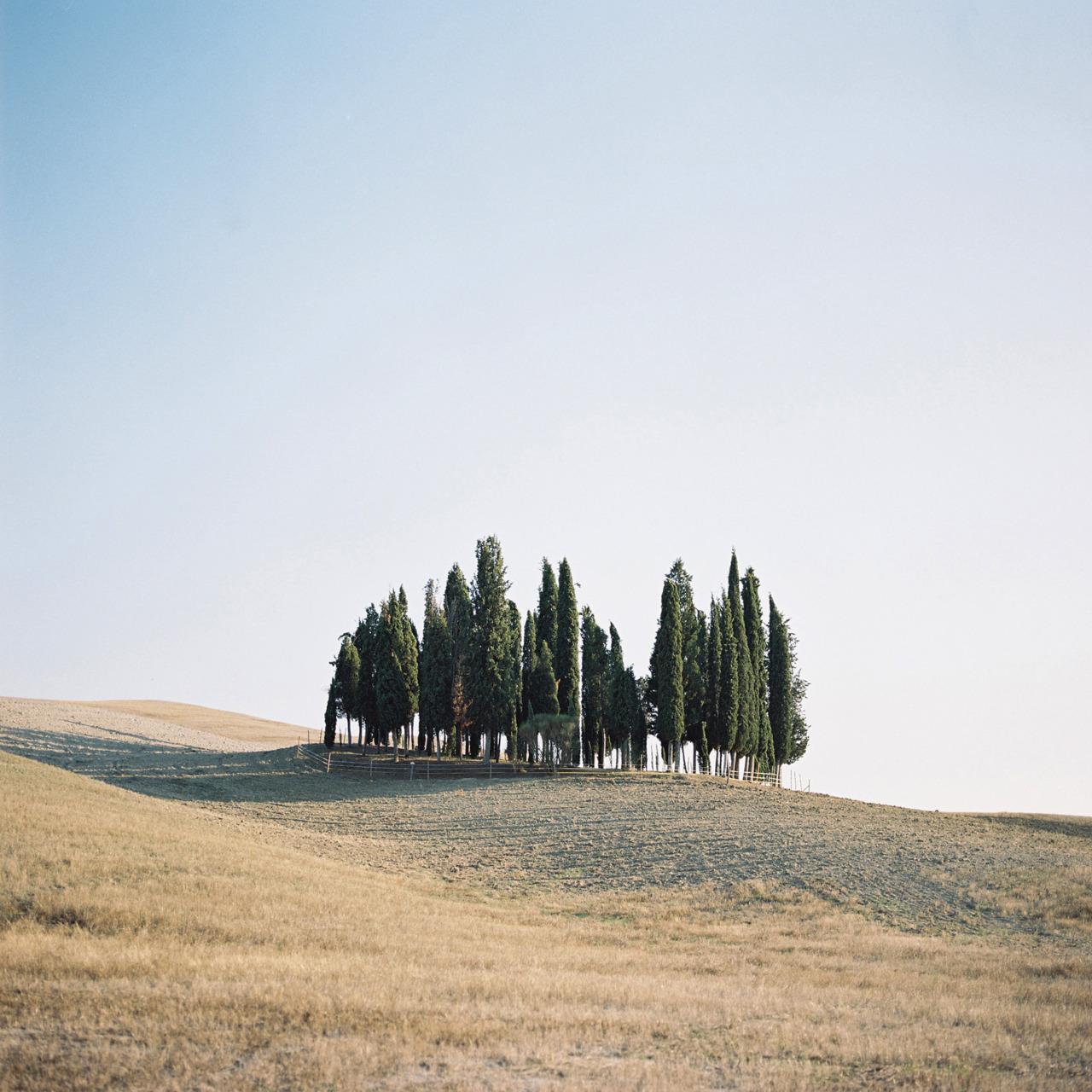 주식에서의 IPO와 암호화폐의 ICO는 같은개념인가요? ㅣ 궁금할 땐, 아하!