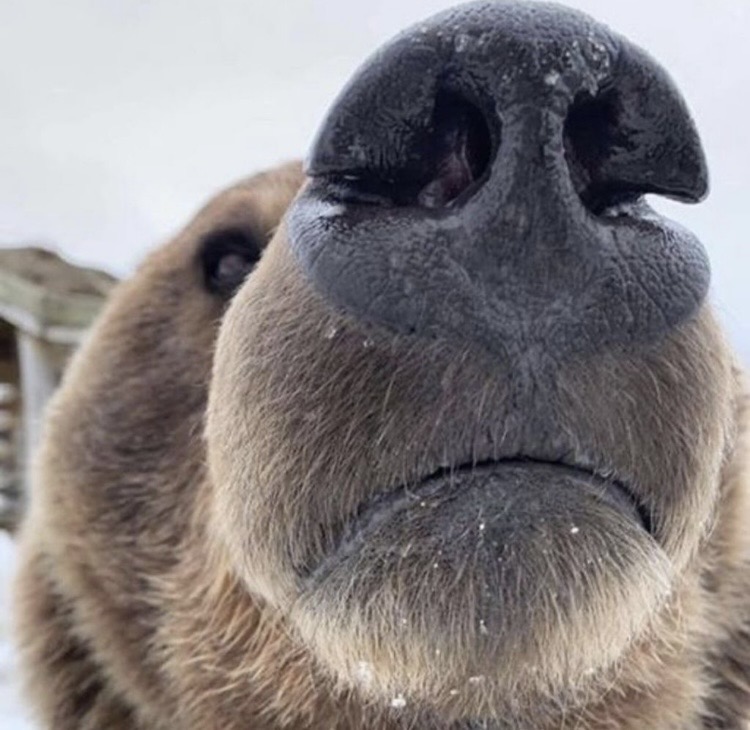 나를사랑하는나의우주