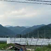 포근한사랑새206