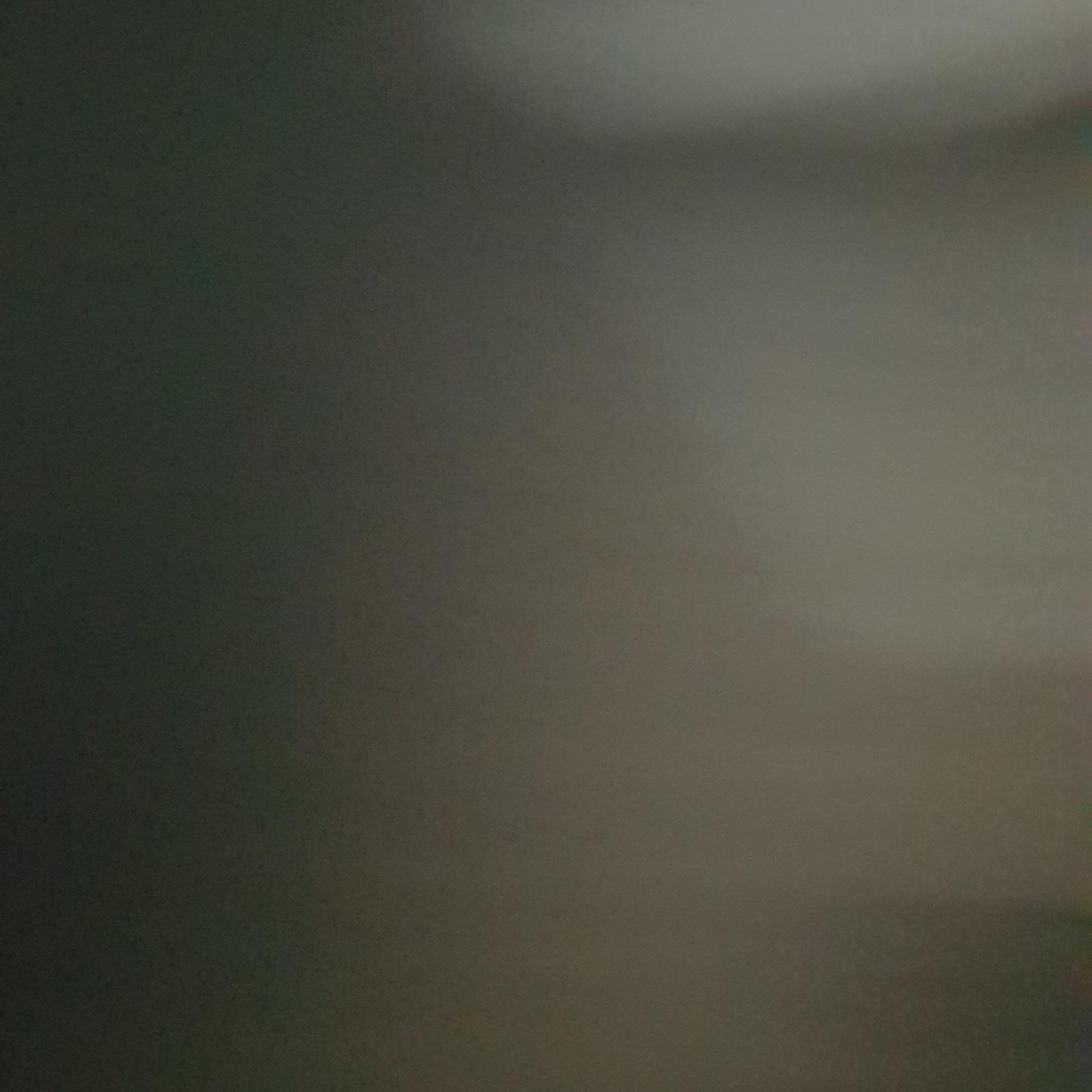 인자한멧토끼197