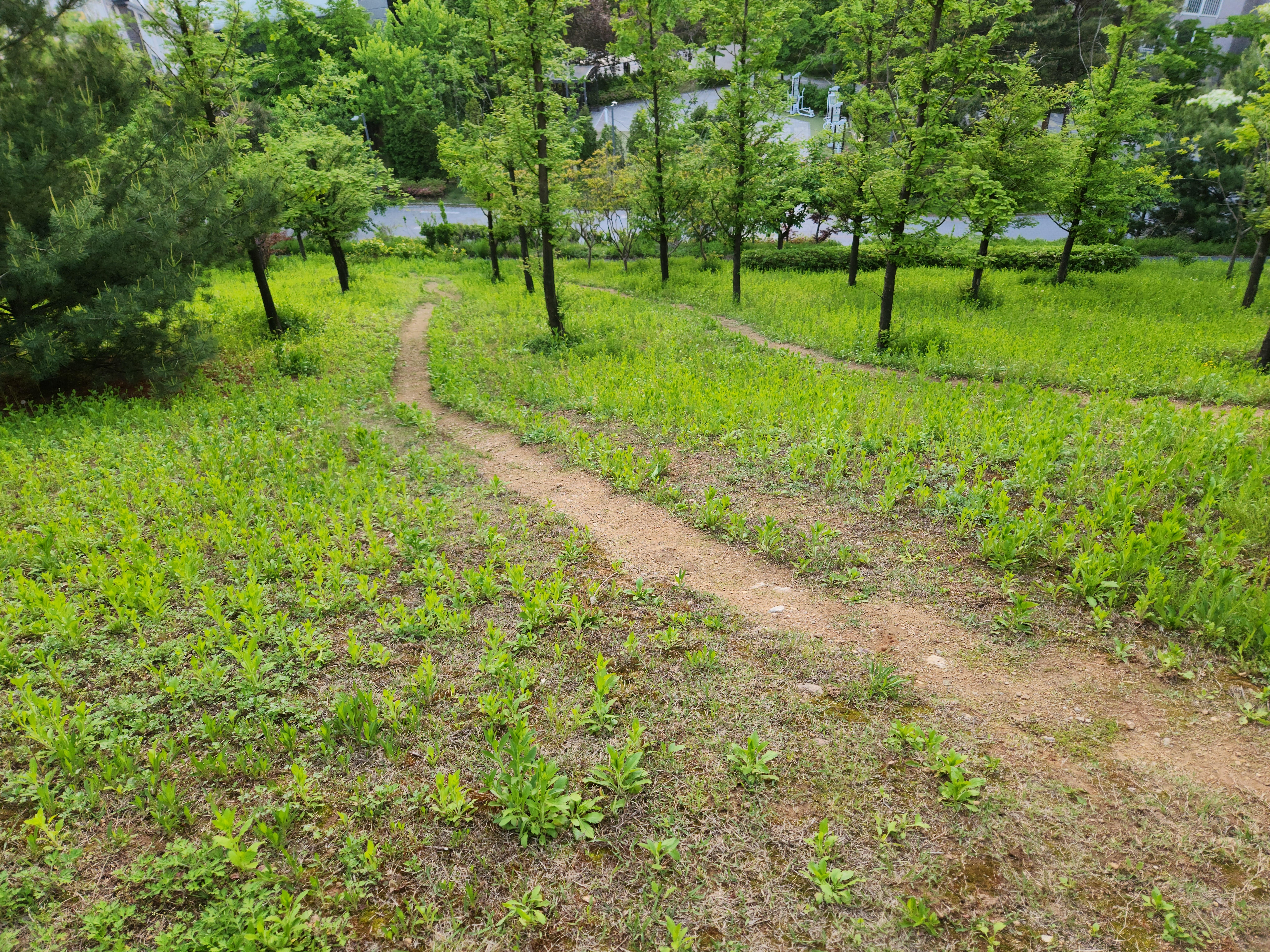 색다른쌍봉낙타115