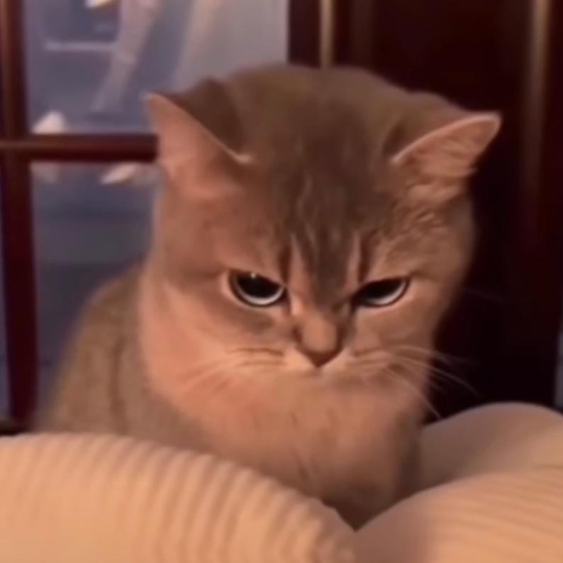 아무것도몰라요