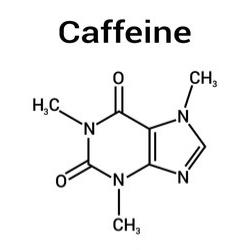 과학 전문가 라팔라