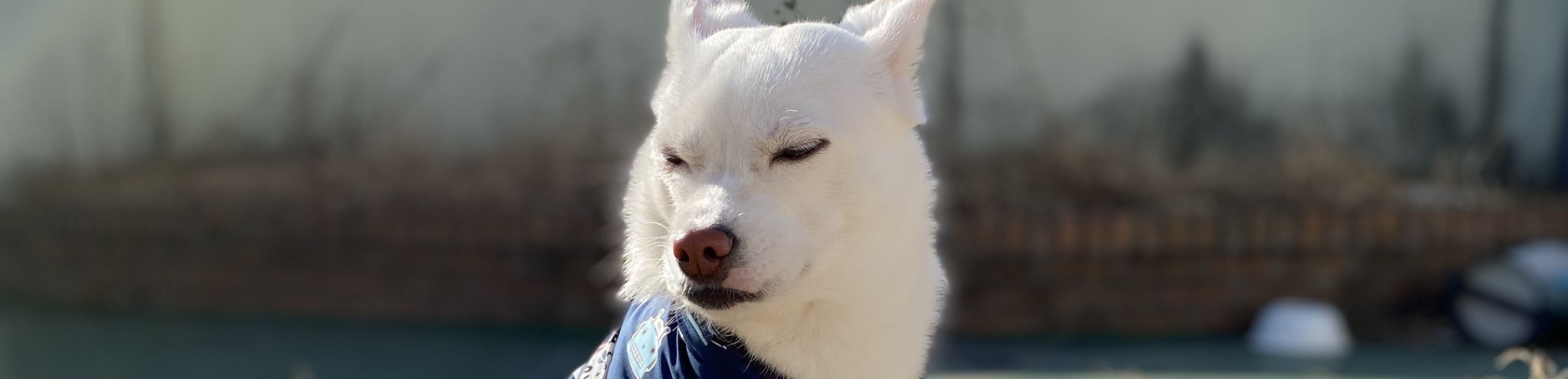 비트코인의 갯수는 무한한가요? ㅣ 궁금할 땐, 아하!