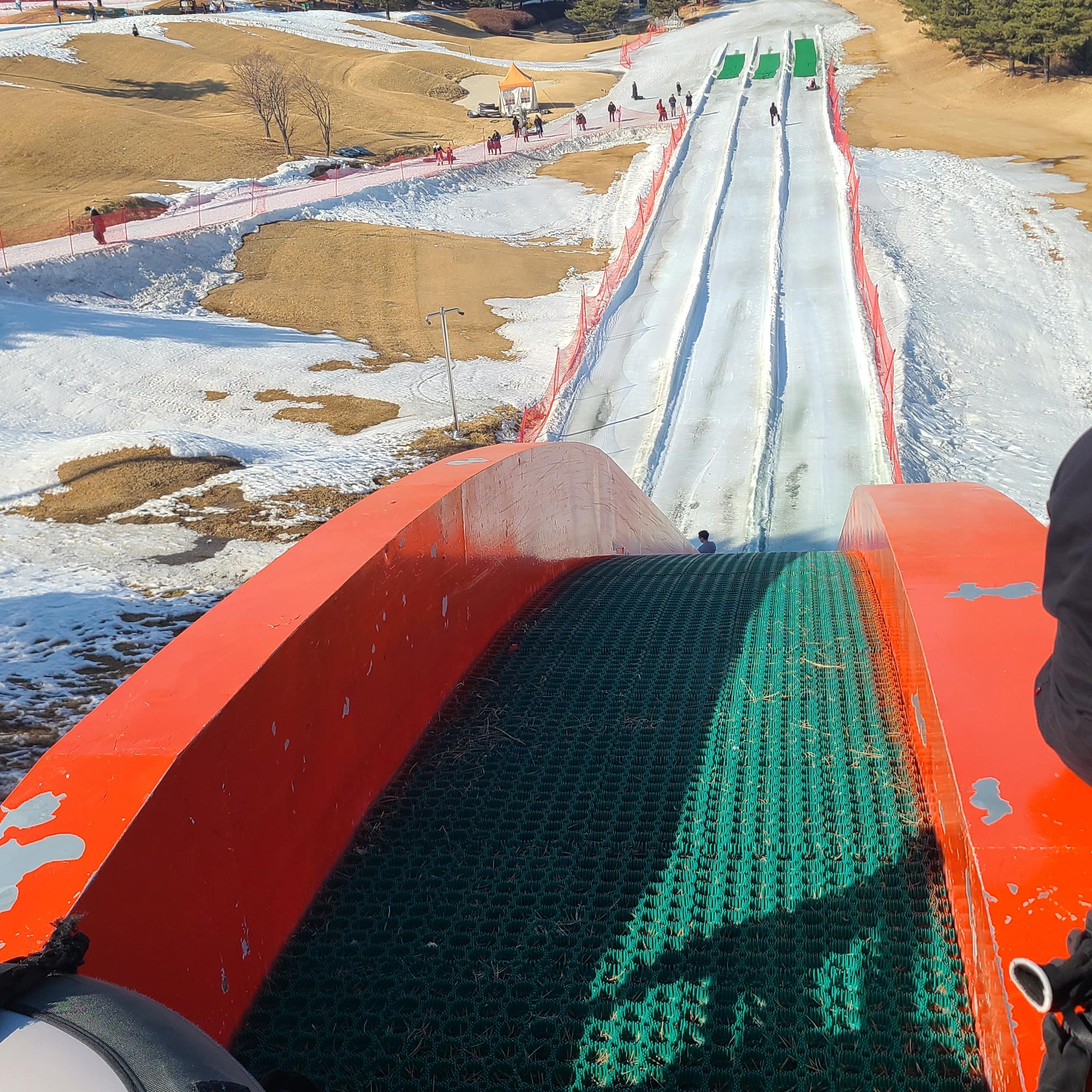 독특한병아리168