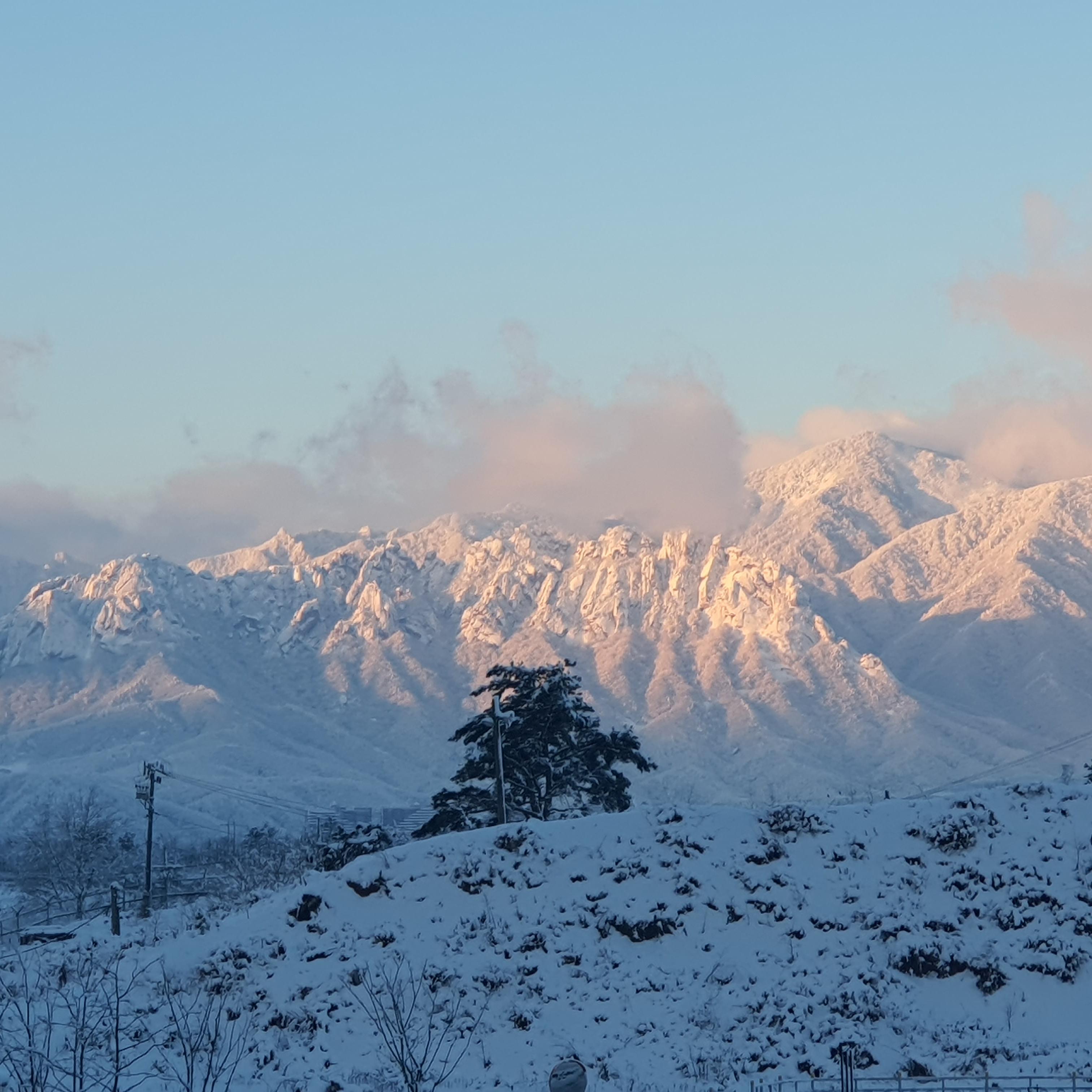 한가한뱀눈새57
