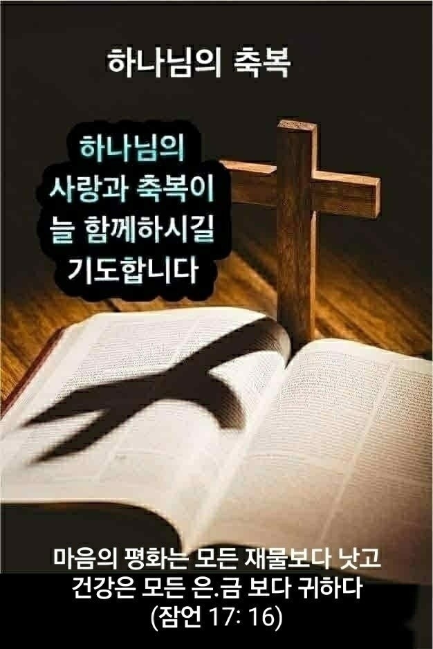 깜찍한고슴도치209