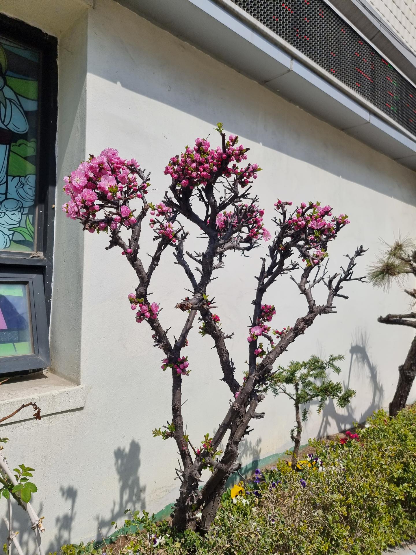 잘웃는반딧불17