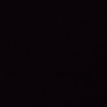 꽃다운저어새123