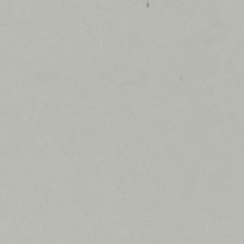 완강한대벌래254