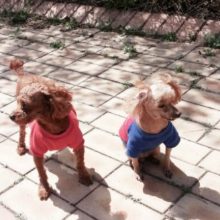 남다른소쩍새24