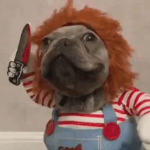 영민한줄나비102