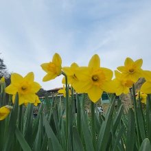 겸손한날다람쥐125