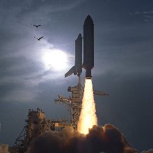 깨끗한진도개291