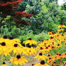 후덕한떄까치244