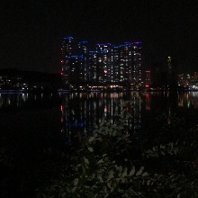 한결같은벌잡이249