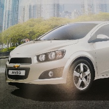 특출난반달곰71